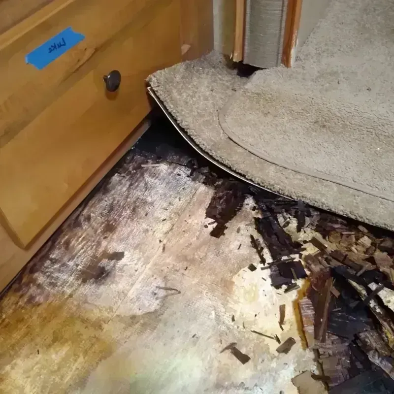 Best Wood Floor Water Damage Service in Tempe Junction, AZ